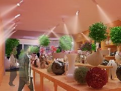 &#20964;&#20976;&#40;&#20013;&#22269;&#41;&#23448;&#26041;&#32593;&#31449;&#45;&#30331;&#24405;&#20837;&#21475;